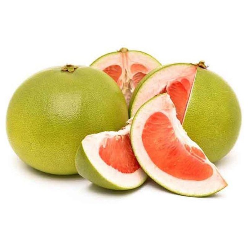 Bibit jeruk bali okulasi