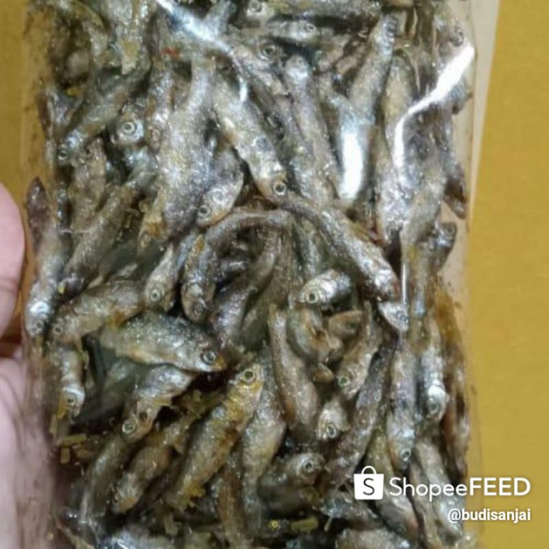 

Ikan Bilih