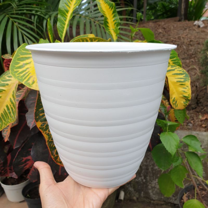 POT BUNGA TAWON 15CM/POT BUNGA TIRUS 15CM MURAH/GROSIR POT BUNGA