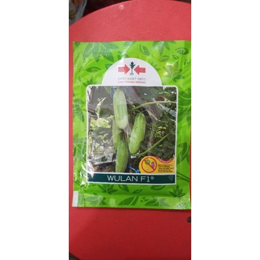 Cap Panah Merah wulan F1 Benih timun 700 butir Iis