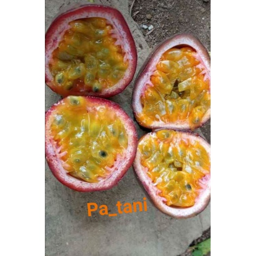

BUAH MARKISA