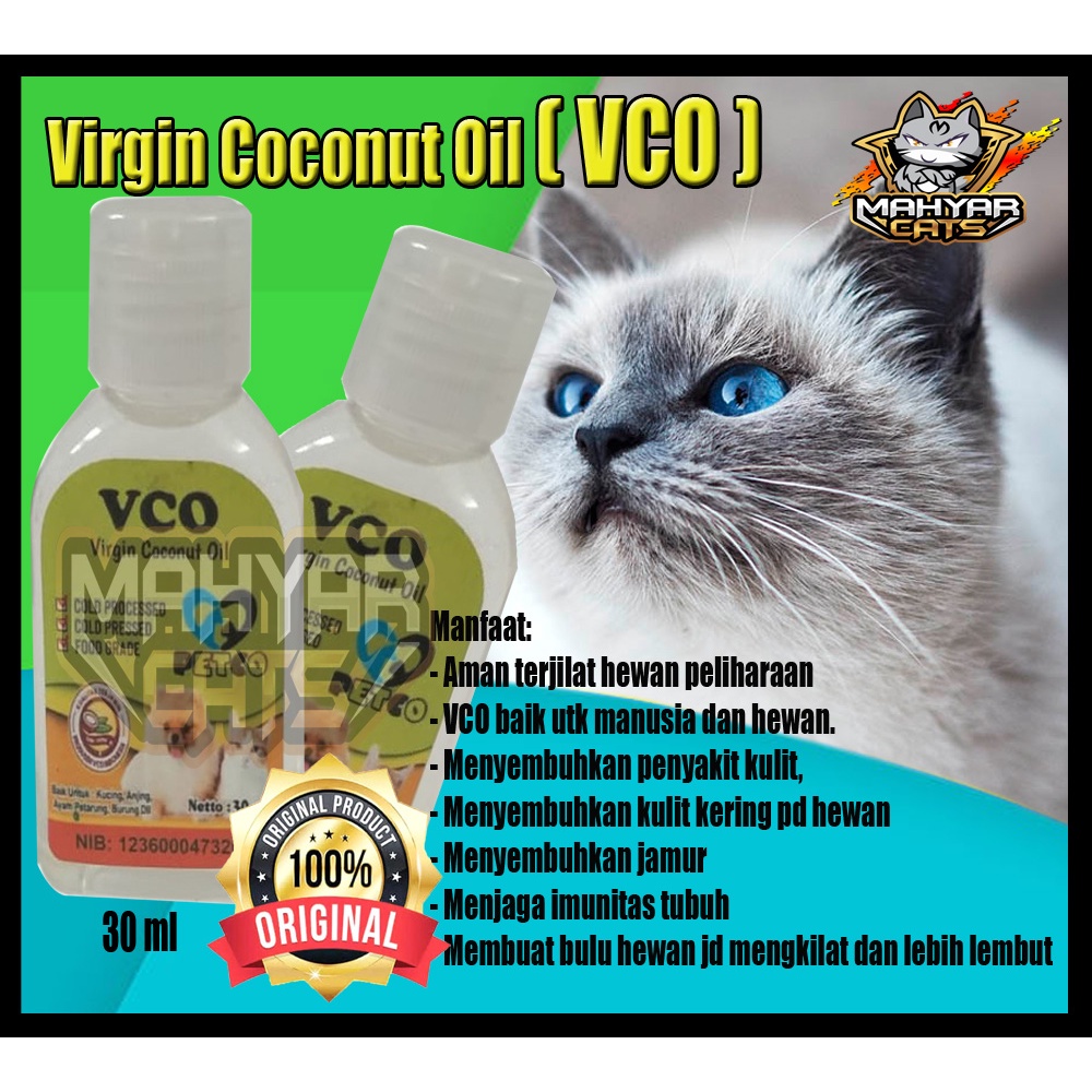 obat jamur kucing scabies, obat jamur kucing dan anjing, minyak VCO 30ml