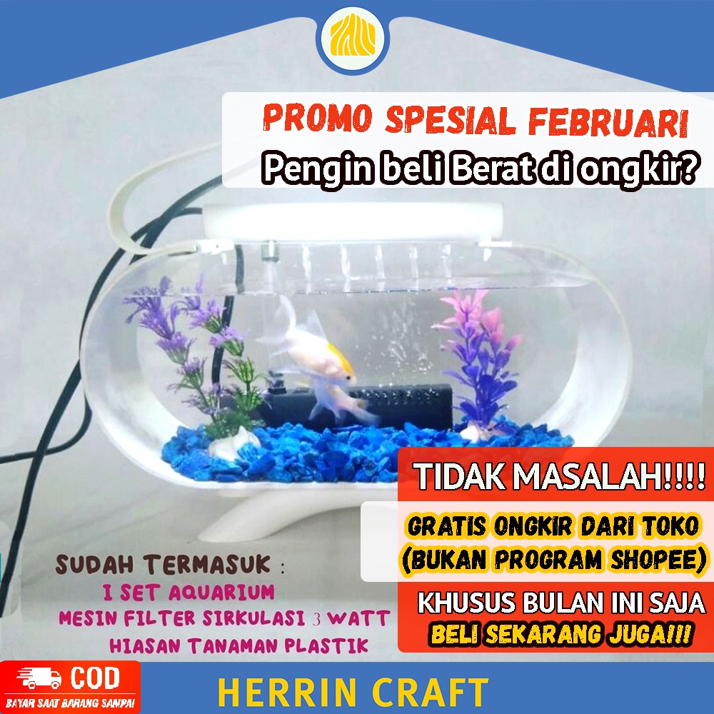 Aquarium Mini Akrilik Benruk Bulat Untuk Cupang Dan Filter Fullset Gelas Kaca Hias Untuk Ikan Cupang