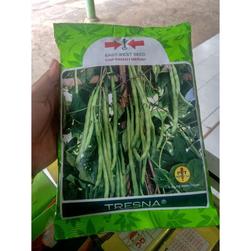 Cap Panah Merah - Benih Buncis TRESNA F1 Isi 500 Gram