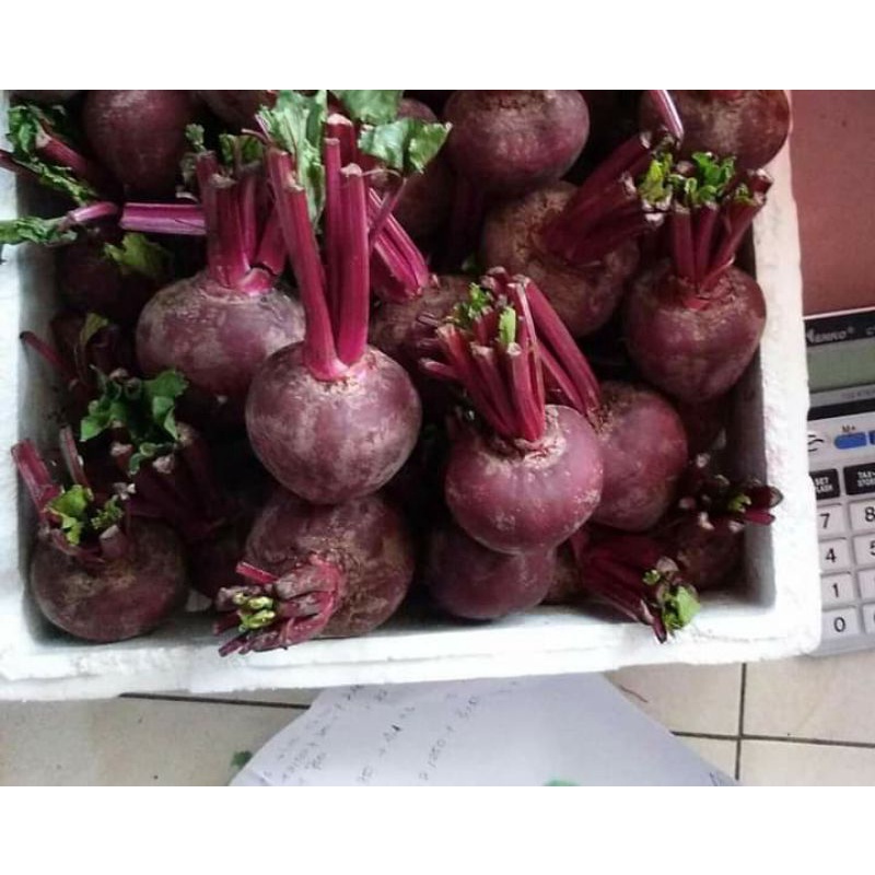 buah bit/beet root 1 kg