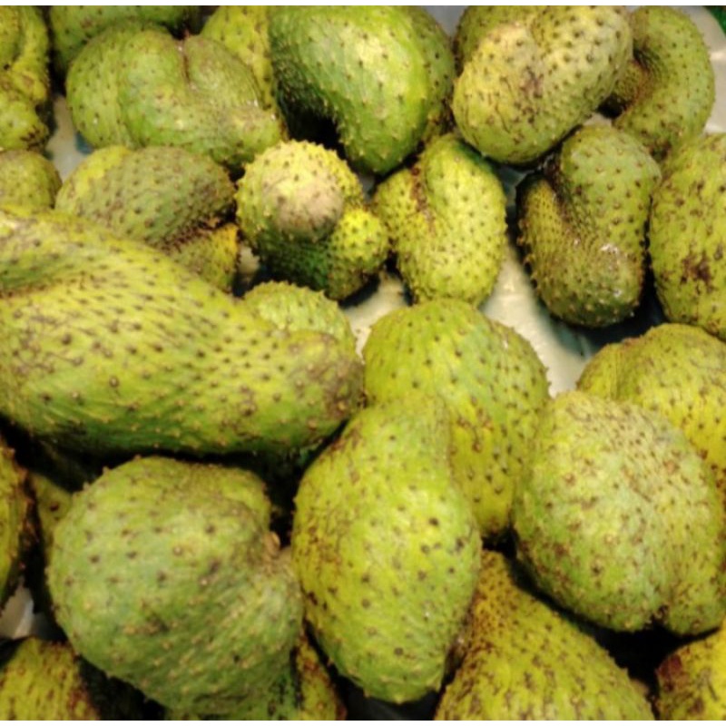

Buah Sirsak Fresh 1Kg