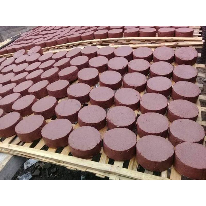 

Terasi Kering Asli Lombol