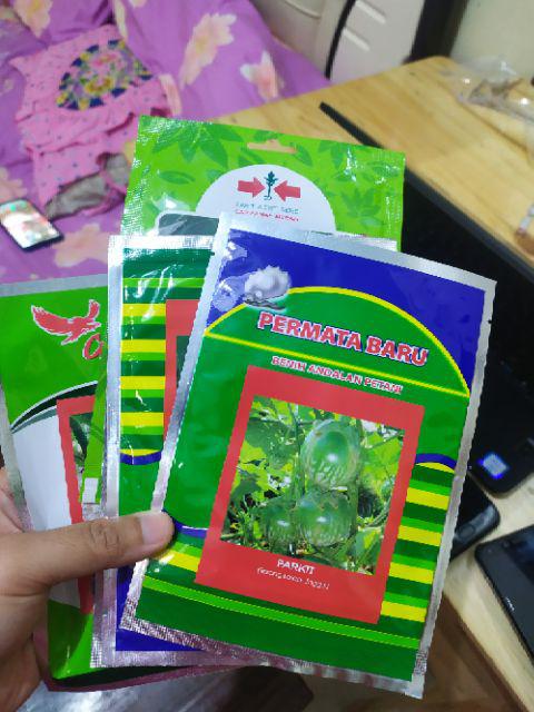 Bibit Terong Lalap Parkit Isi 10 Gram. Benih Terong. Bibit Terong Bulat. Biji Terong