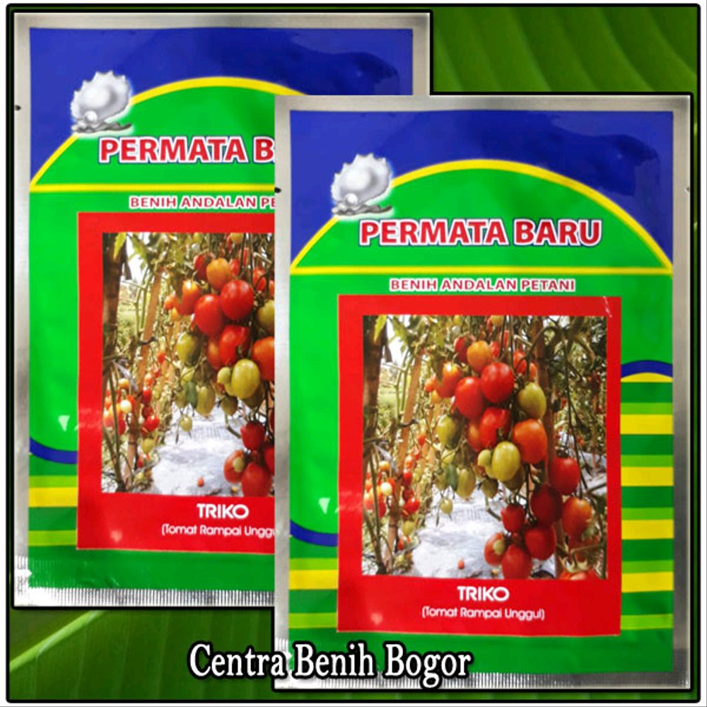 Benih Tomat TRIKO produk PERMATA BARU Berkualitas