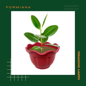 FM - Pot Bunga Merah Bata / Pot bunga unik