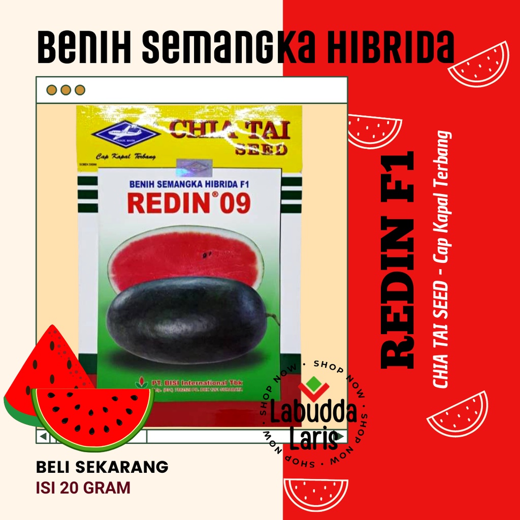 Benih Semangka Bibit Semangka Inul Bibit Semangka Redin F1 Chai Tai Seed Bibit Semangka Inul Redin F