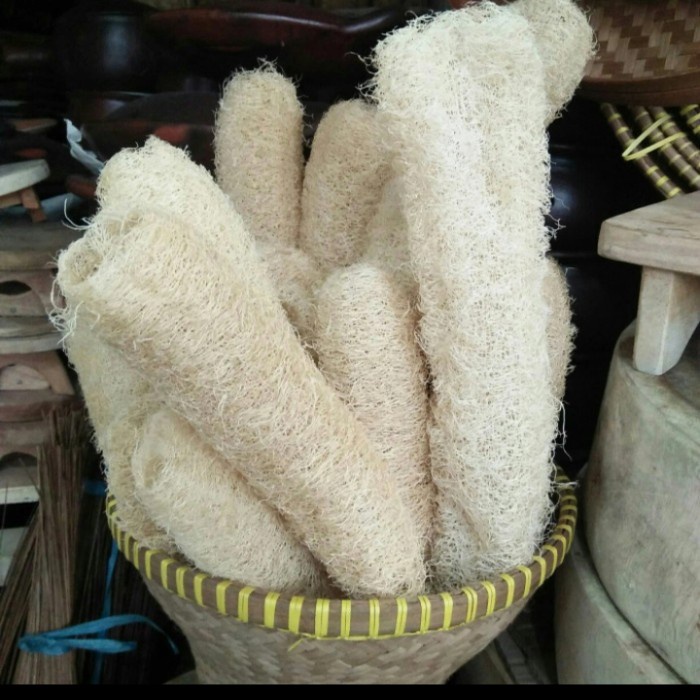 gambas,sabut oyong buat cuci piring.sabut mandi ready expedisi gojek