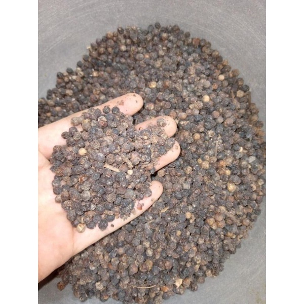

LADA HITAM KERING 1KG