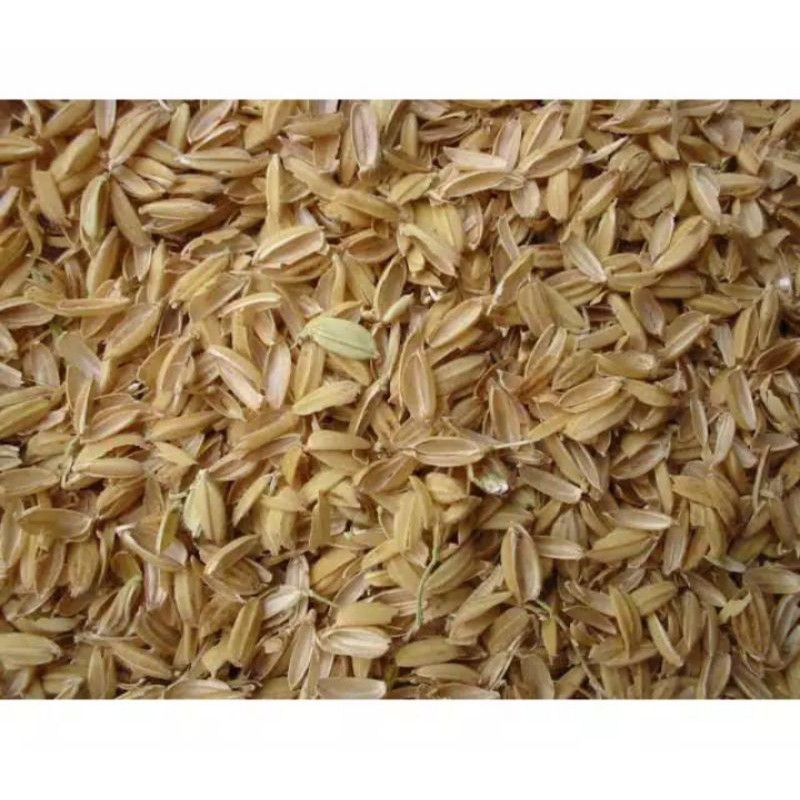 

sekam mentah / kulit padi 500gram