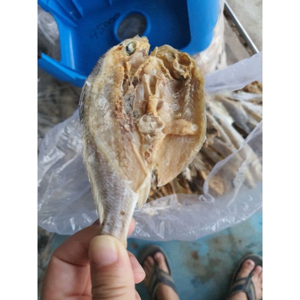 

Ikan Asin Gelame belah