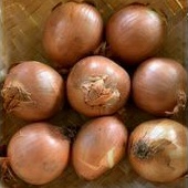 

Bawang Bombay Segar