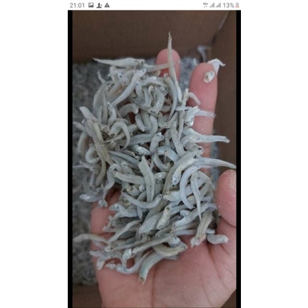 

teribuntiaucantik..1kg