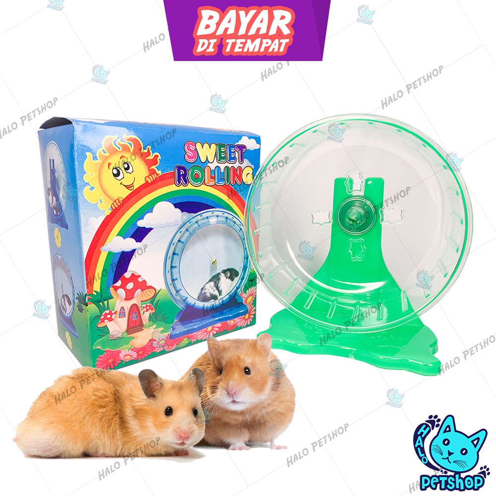 SWEET ROLLING HAMSTER Mainan Jogging Kincir Hamster Besar