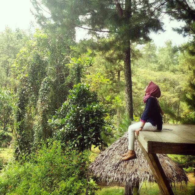 eloknovitasariastiti