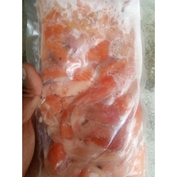 

Ay00! Tetelan Salmon scrape @500 gram fresh trout