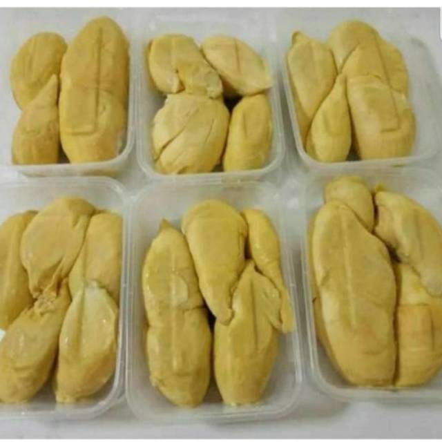 Durian Monthong Medan & Palu Frezer