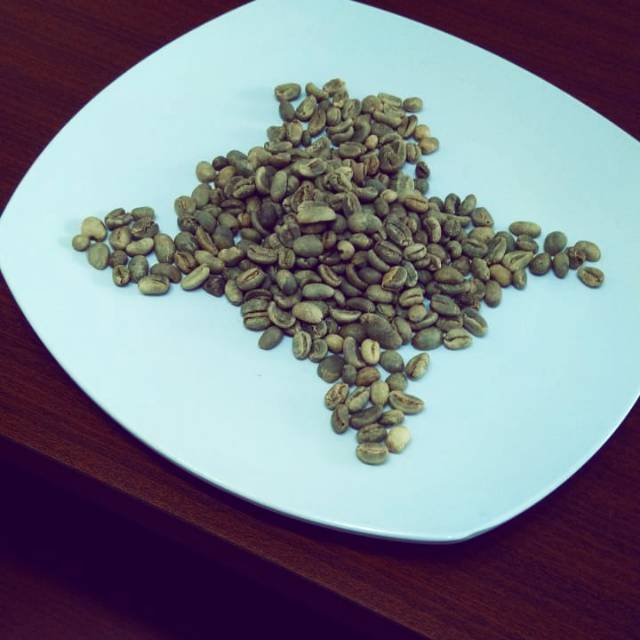 

BIJI KOPI GAYO ARABICA SUMATERA