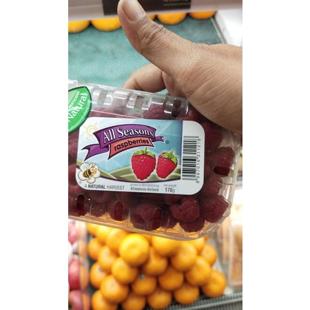 all season fruit Rasberry fresh buah pack 250gr