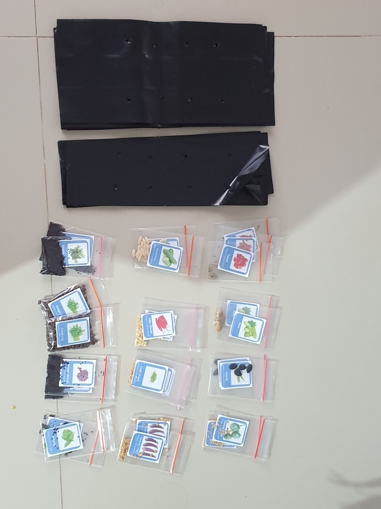 Polibag Sedang 20cm X 10cm