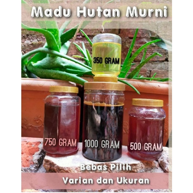 

madu hutan asli 1kg/madu hutan murni 1 Kg/madu hutan murni 1 KG/madu hutan asli 100%/ madu hutan lampung 1000gr/madu hutan original 1000 gr