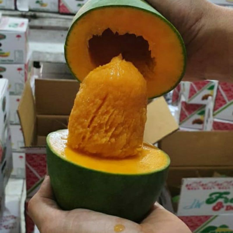 

Mangga Alpukat