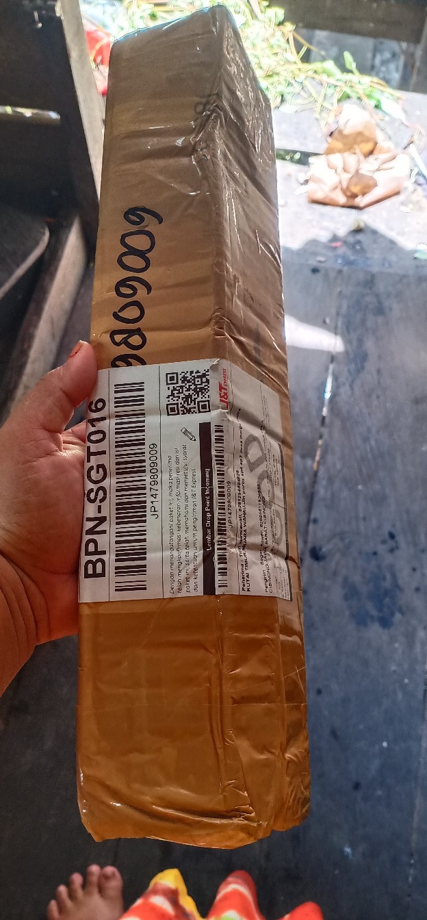 Kamboja Jepang / Adenium Stek Tumpuk Siza A