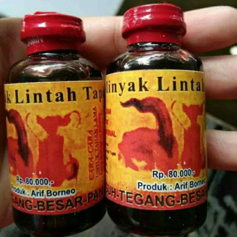 Jual minyak lintah tapa khas kalimantan Shopee Indonesia
