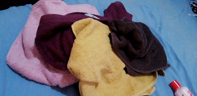 Raishacollection Handuk Terry Palmer Premium Polos (70 X 140)