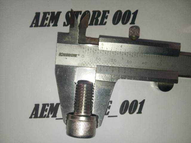 Baut L M12 x 20 (2cm) stainless 304