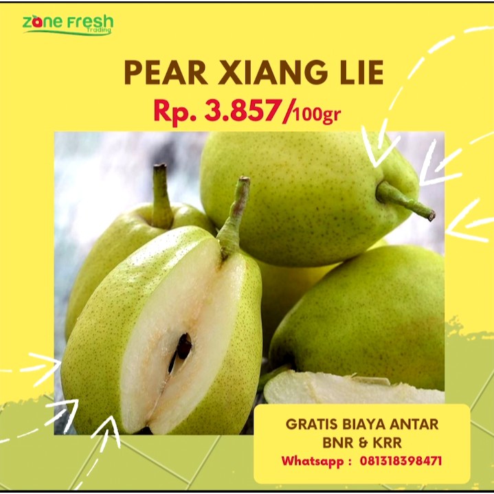 

PEAR-XIANGLIE