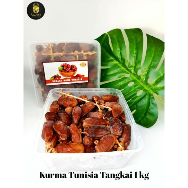 

Kurma Tunisia Tangkai | Tunnisia