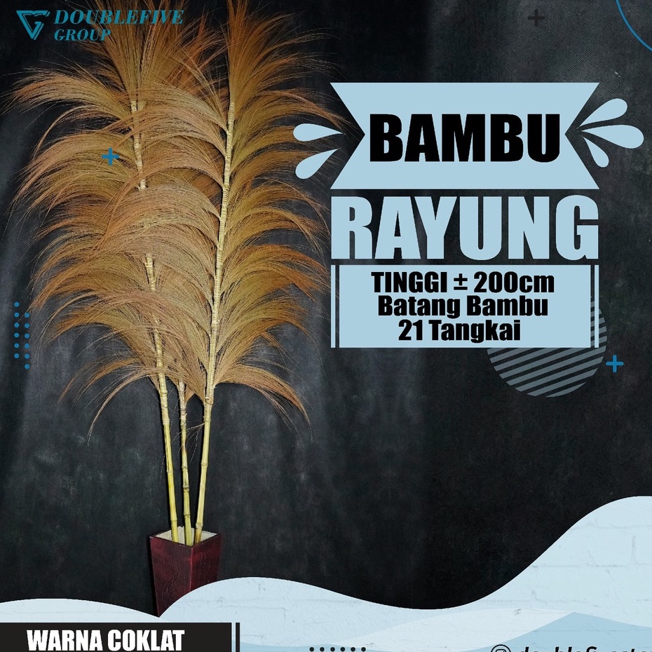 Rayung Home Decor Rayung Kering Panjang Rayung Natural Rayung Rustic Dekorasi Rayung Pampas - COKLAT