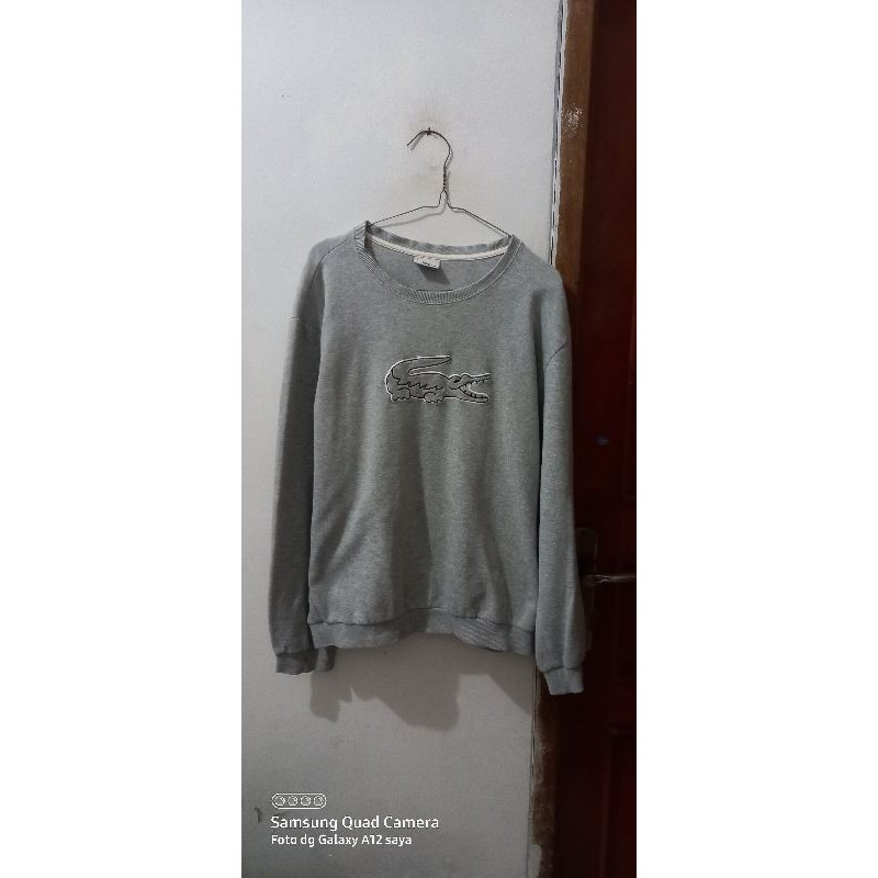 crewneck lacoste big logo