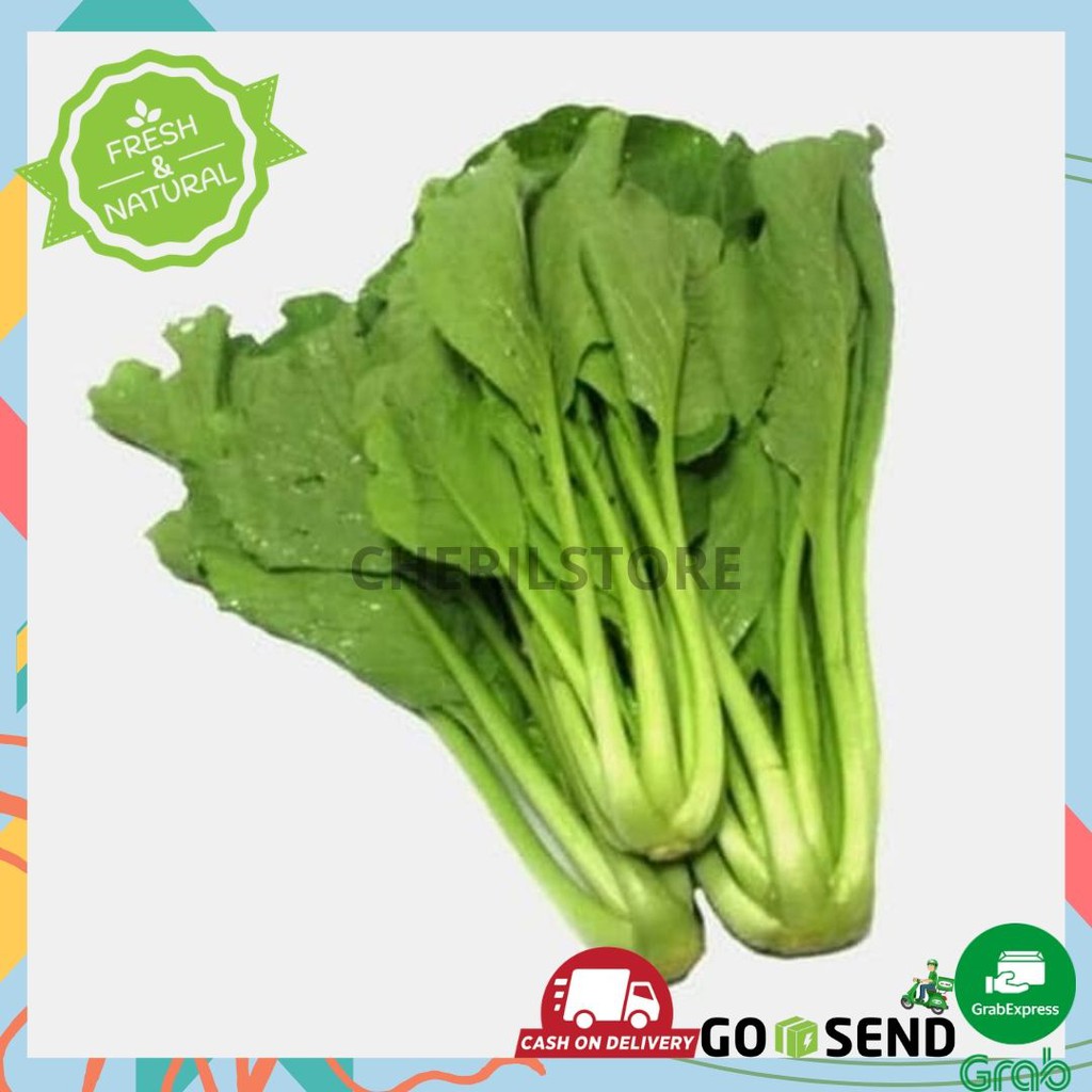 TERMURAH SAWI HIJAU / CAH SAWI / MUSTARD GREENS / SAYUR SAYURAN SEGAR MAKANAN SURABAYA  / PER IKAT