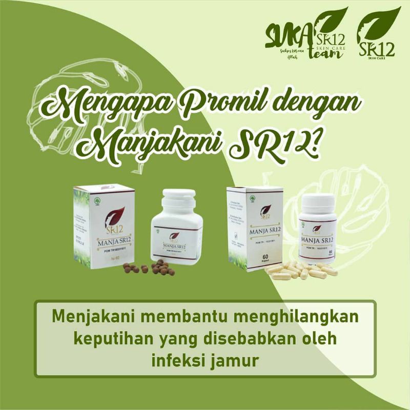 Manjakani SR12 kapsul / butir herbal untuk promil &amp; mengatasi keputihan dll