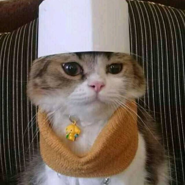 h*****a