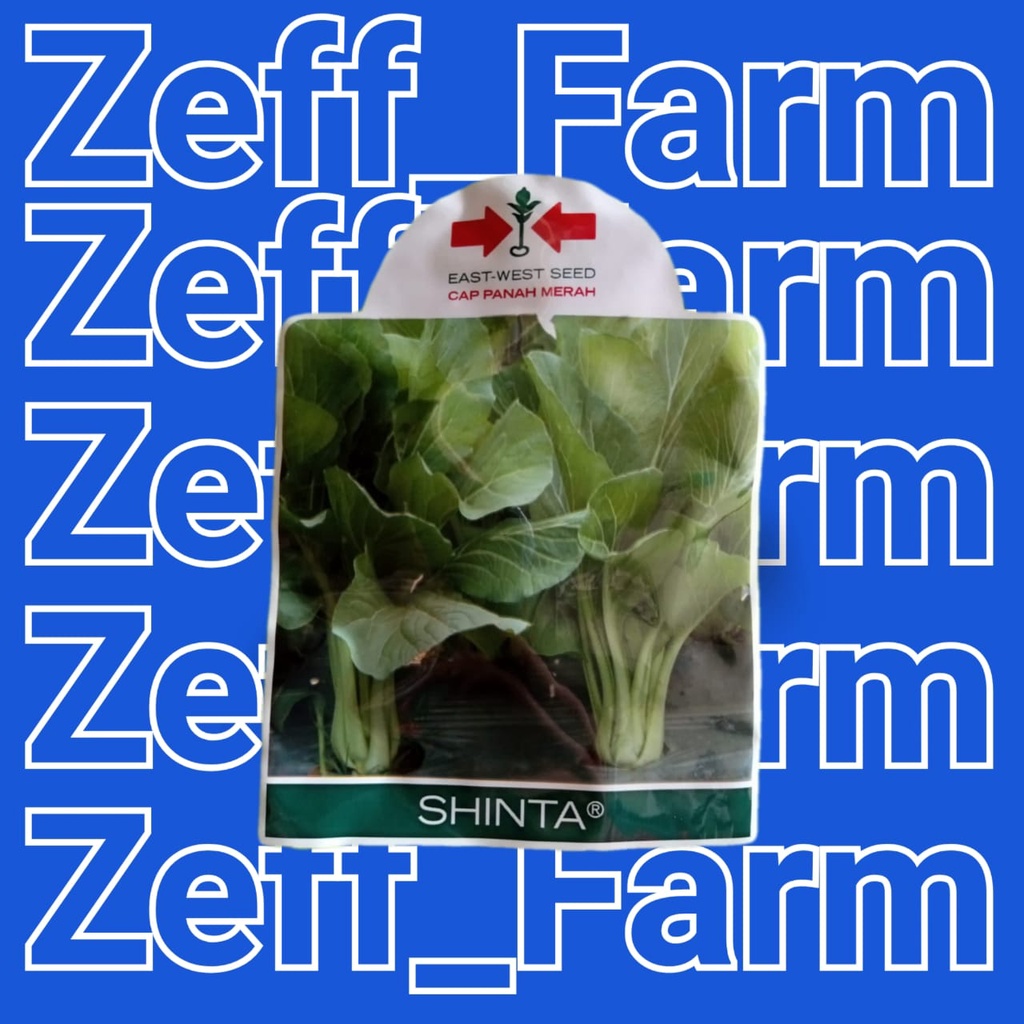 benih sawi caisim shinta panah merah