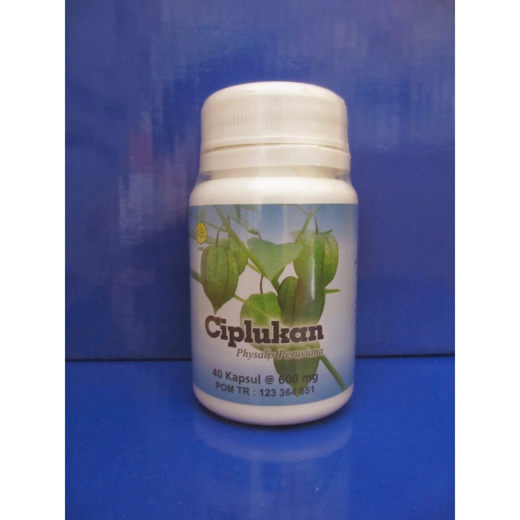 CIPLUKAN - Herbal Untuk Mengobati Diabetes Gondongan Bronkitis Hipertiroid