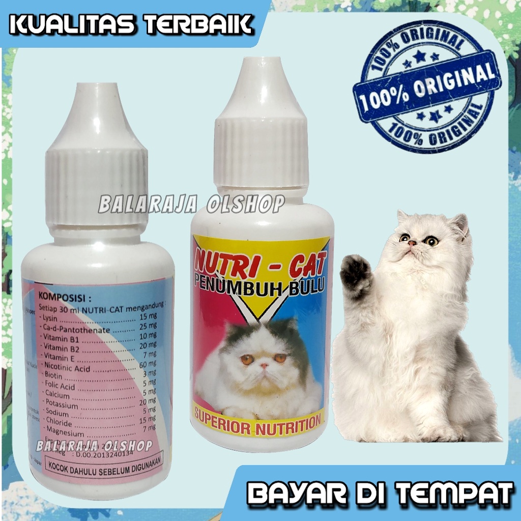 Vitamin Bulu Kucing Obat Penumbuh Bulu Kucing Rontok Nutri Cat