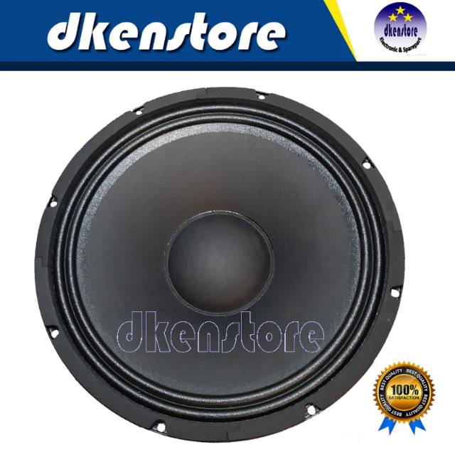 speaker audio line 12 inch