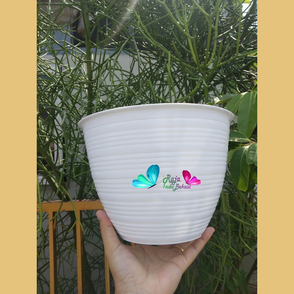 Pot Lumba 25 TAWON 24 Putih Diameter 21 Cm Motif Tawon - Pot Bunga Plastik 21cm Bunga Lidah Mertua Aglonema