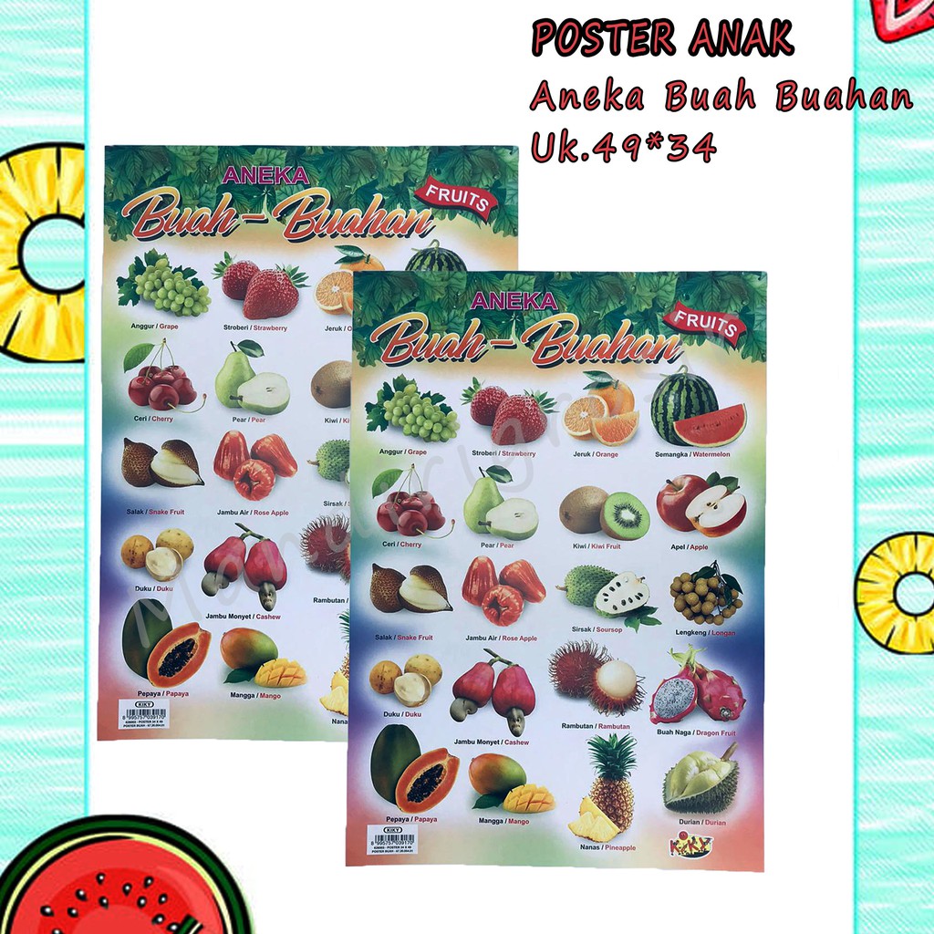 Kiky * Poster * belajar * anak * aneka * gambar * 34*49