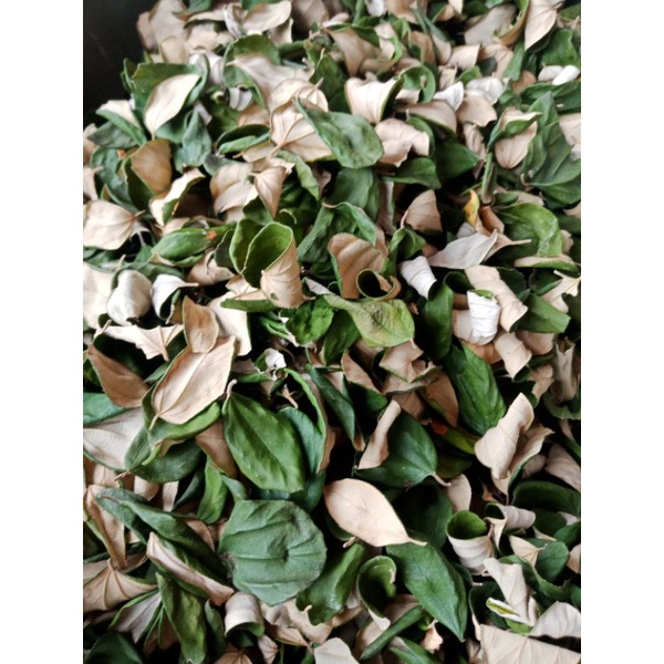 

daun bidara ruqiyah kering 50 gr