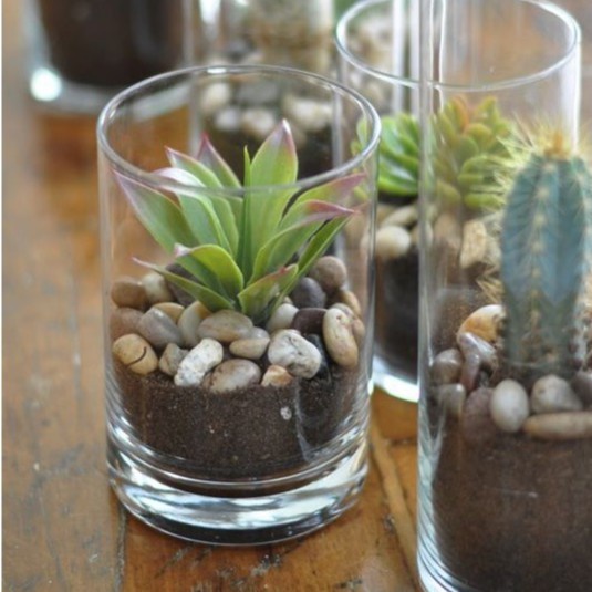 Terrarium Gelas Panjang Tanaman Kaktus Sekulen Gelas Kaca Dekorasi Meja Kantor Hiasan Ruangan Unik C