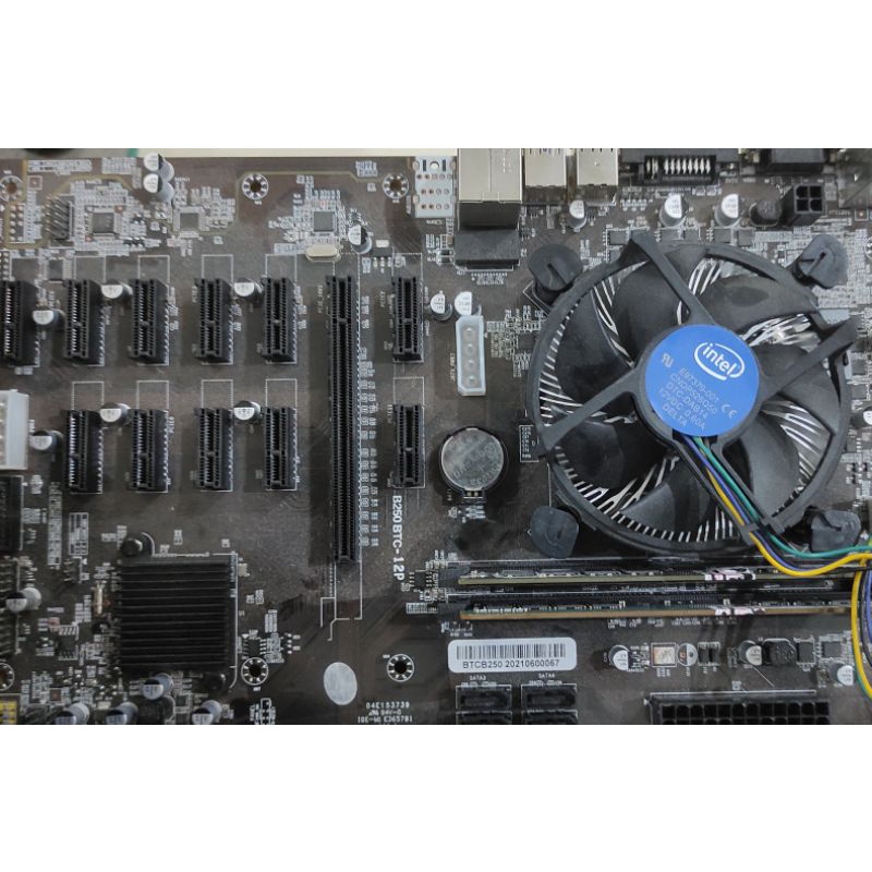 mobo btc b250